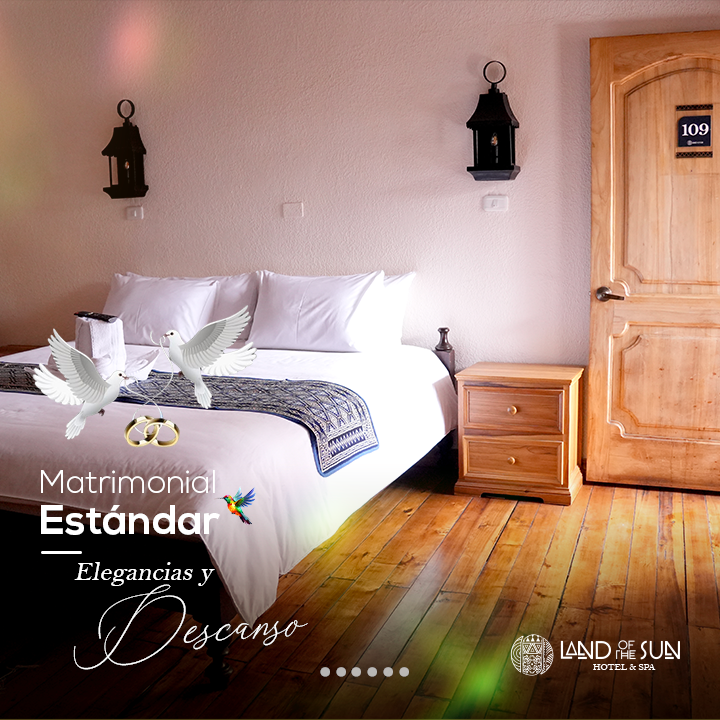 Matrimonial Estándar m4
