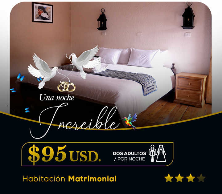 Matrimonial Estándar portada