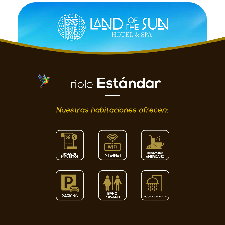 servicios