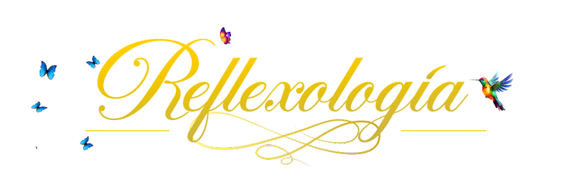 titulos refle